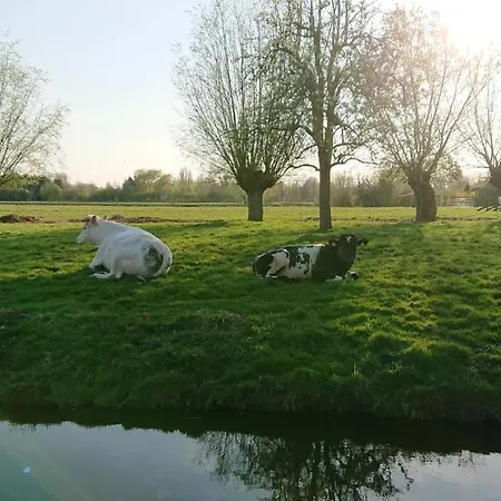 Hofstede Liesveld Vakantiehuis *